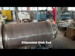 760MM X 60MMのステンレス鋼の皿のヘッド チタニウムの炭素鋼の皿に盛られた頭部