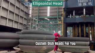 石油化学、製薬、航空宇宙、軍事産業に適した楕円形ヘッド