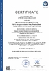 中国 Wuhan Linmei Head Plate Co., Ltd. 認証